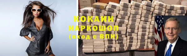 стаф Аркадак