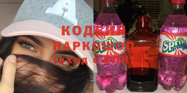 стаф Аркадак