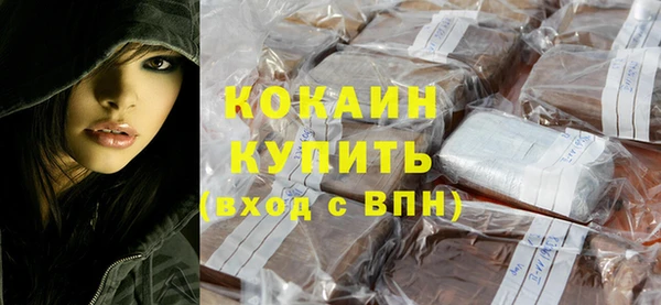 стаф Аркадак