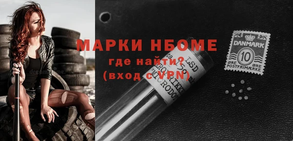 стаф Аркадак