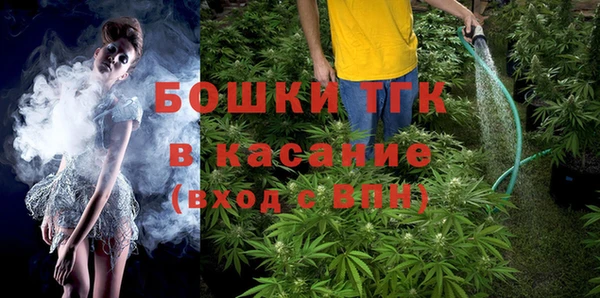 стаф Аркадак