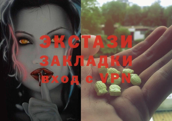 стаф Аркадак